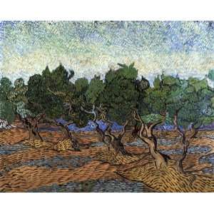   Olive Grove Vincent van Gogh Hand Painted Art