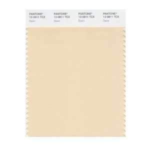  PANTONE SMART 12 0811X Color Swatch Card, Dawn