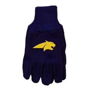  Montana State Bobcats Knit College Logo Glove Sports 
