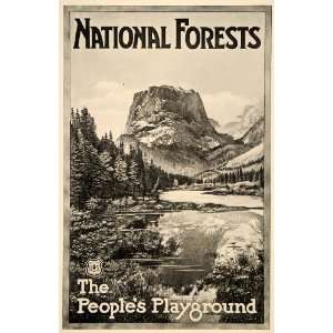  1917 U. S. National Forest Service Mountain Mini Poster 