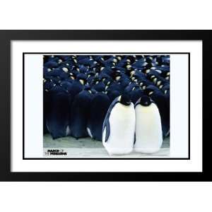 March of the Penguins 20x26 Framed and Double Matted Movie Poster   B 
