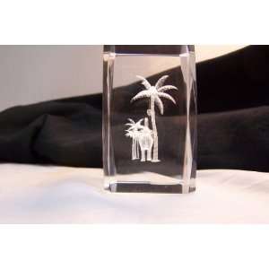  Laser Art Crystal with Elephant and Palm Trees Everything 