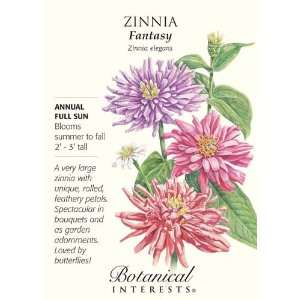  Fantasy Zinnia Seeds   1 gram   Annual Patio, Lawn 