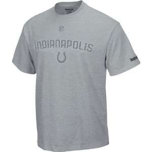 Indianapolis Colts 2010 Reebok Grey Sideline Basic Training T shirt
