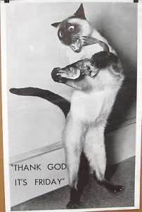 Vtg 1970s Thank God Its Friday Kitty Hippie Poster  