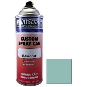  12.5 Oz. Spray Can of Persian Aqua Poly Touch Up Paint for 