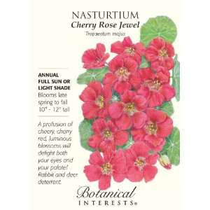  Heirloom Nasturtium Cherry Rose Jewel Seeds 25 Seeds 