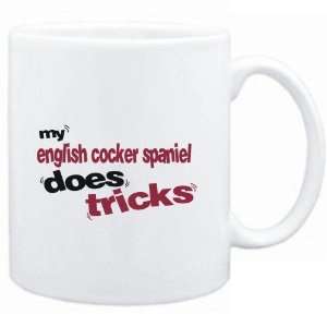   MY English Cocker Spaniel DOES TRICKS  Dogs