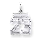 JewelryWeb Sterling Silver Small Number 23 Charm