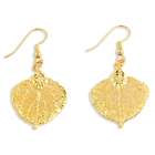 Jewelry Adviser earrings 24k Gold Dipped Aspen Leaf Dangle Earrings