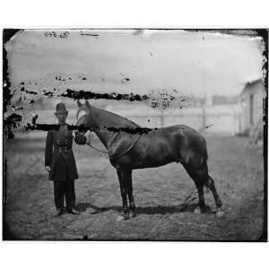  Civil War Reprint Officer with horse