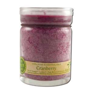  Ecopalm Spa Jar 5 Oz. Cranberry Beauty