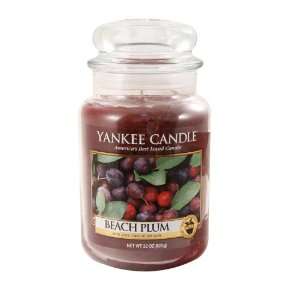 Yankee Candle 22 oz Jar Candle BEACH PLUM   RETIRED SCENT  