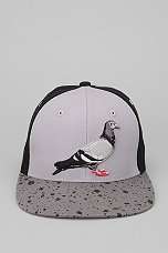Staple Starter Pigeon Snapback Hat