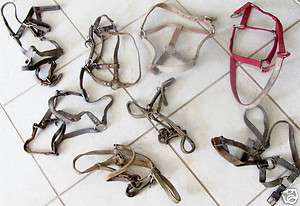   Antique lot of eight Western horse and pony halters, nylon & leather