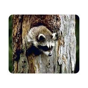  Raccoon Mousepad Patio, Lawn & Garden