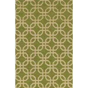   TE8 Lime Contemporary Hand Hooked Rug 3.60 x 5.60.