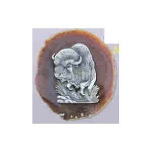  Buffalo Agate Magnet