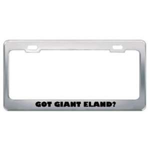 Got Giant Eland? Animals Pets Metal License Plate Frame Holder Border 