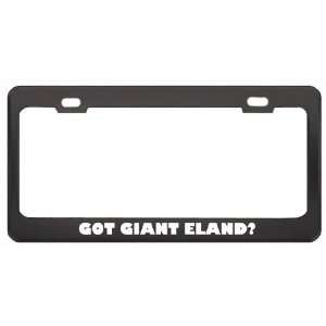 Got Giant Eland? Animals Pets Black Metal License Plate Frame Holder 