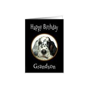 Grandson Birthday English Setter Puppy Card
