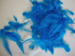  Bright Turquoise Rooster Saddle Hackle Feathers. The Feathers 