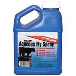 BCI Best Quality Prozap Aqueous Fly Spray / Size 1 Gallon By Chemtech 