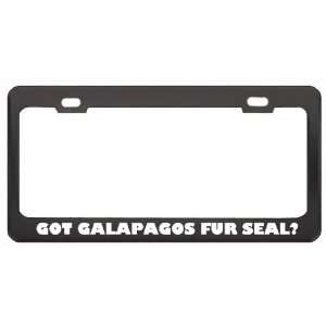 Got Galapagos Fur Seal? Animals Pets Black Metal License Plate Frame 