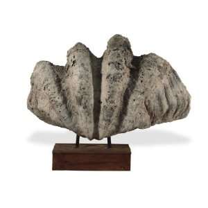  Mammoth Petrified Clam Shell on Stand Cell Phones & Accessories