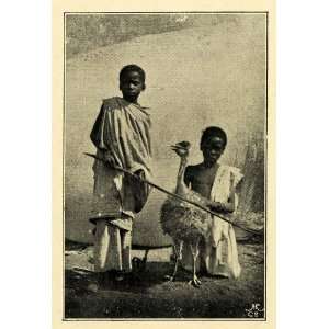  1907 Print Baby Ostrich Congo Africa Children Indigenous 