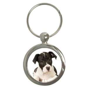  American Staffordshire Puppy Dog Round Key Chain AA0015 