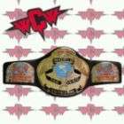 WWE WCW Tag Team Championship Mini Size Replica Wrestling Belt