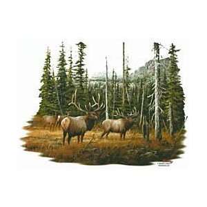  Elk Shirts