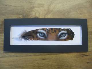 Russ Abbott Hand Painted Feather   Leopard Eyes  