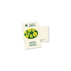   Min Qty 250 Postcard Size Marigold Seed Packets Patio, Lawn & Garden