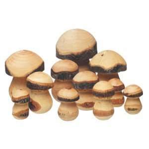  Assorted Wooden Toadstools Mushrooms Toys & Games