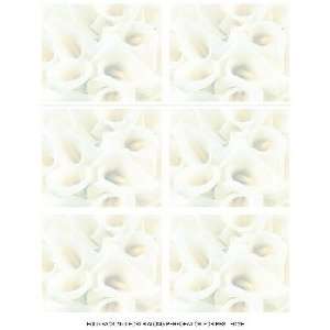  White Calla Lilies Place card (Case of 1)