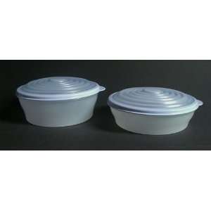   Storage Containers with Blueberry Mist Seal (4 cup & 6 cup capacity
