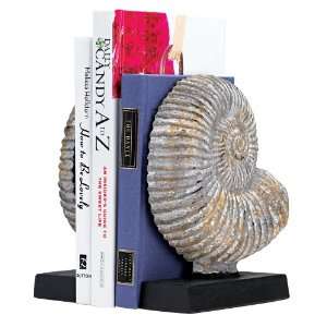  Pair of Fossil Shell Bookends