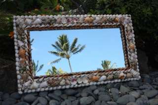 Rectangular Mirror w/ Seashells XL   Coastal Living  