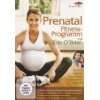 Pilates für Schwangere   Vor und nach der Geburt  Millie 