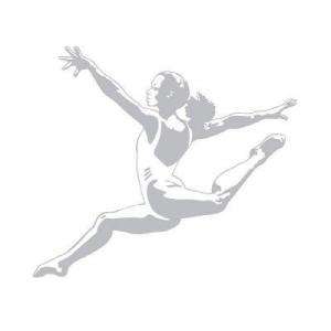   Shadows 33 In. X 32 In. Gymnast Wall Graphic 01953 