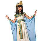   Pink Egyptian Goddess Child Costume Girl Dress Gold Headpiece  
