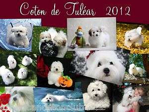 2012 COTON DE TULEAR CALENDAR   FIRST EDITION OF COTON PUPPIES & DOGS 