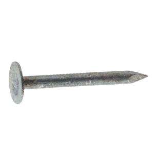 Grip Rite #11 x 5/8 in. Electro Galvanized Steel Roofing Nails 1 lb 