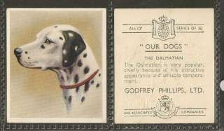 1939 UK Our Dogs Dog Art Godfrey Phillips Cigarette Card Black & White 