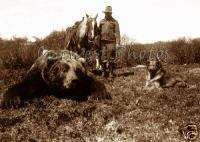 PHOTO HUNTER LARGE DEAD BEAR HUNTERS HUNTING DOG HORSE  