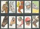 cigarette trade cards   MAN UNITED   KINGS OF EUROPE items in WARDEN 