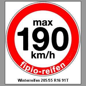 Winterreifen 205/55 R16 91T max 190 km/h Aufkleber  