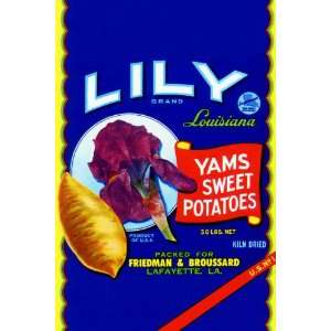    Lily Brand Yams Sweet Potatoes 20x30 poster